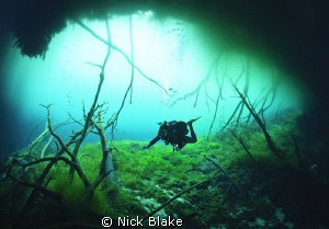 A dive in Car Wash cenote, Yucatan, Mexico. by Nick Blake 